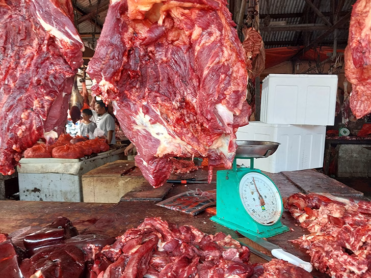 infeksi saluran kemih daging