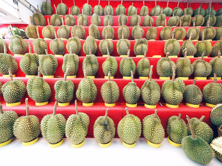 durian jerman kebocoran gas