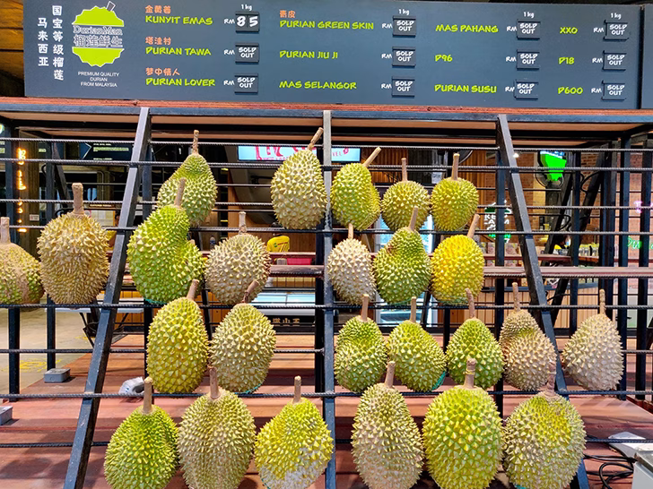 durian jerman kebocoran gas