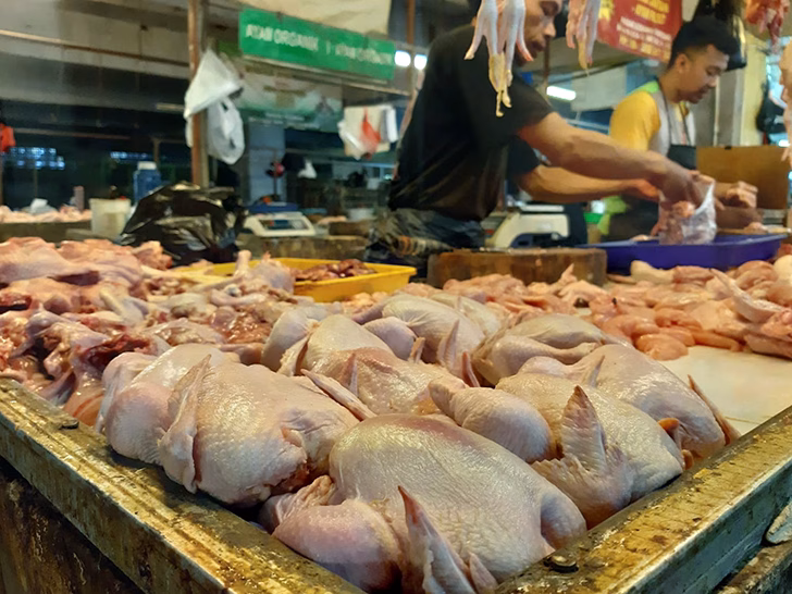 infeksi saluran kemih daging
